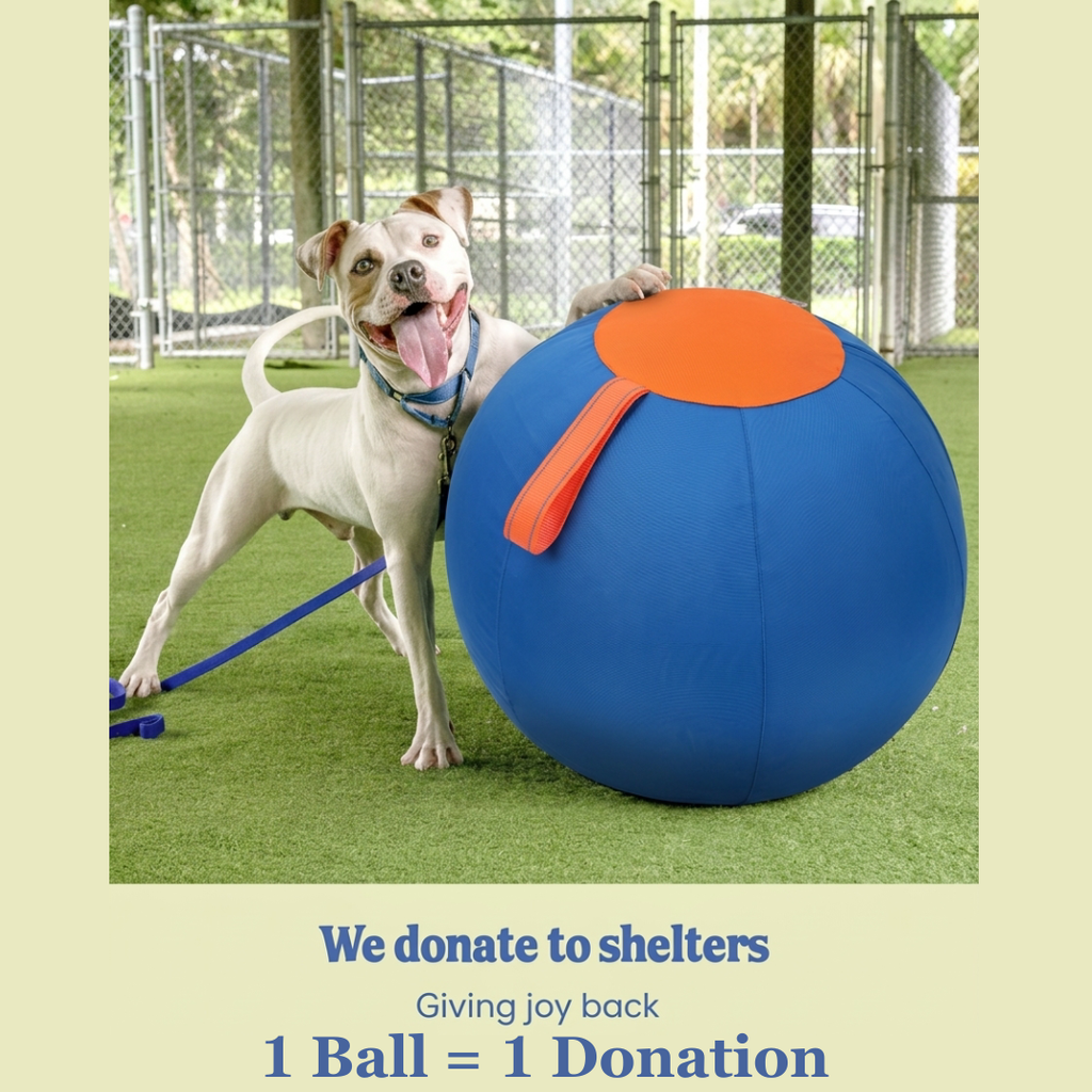 Valkyrie Herding Ball