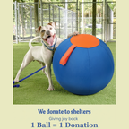 Valkyrie Herding Ball