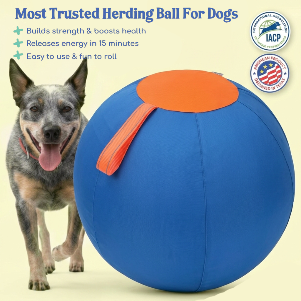 Valkyrie Herding Ball