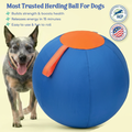 Valkyrie Herding Ball