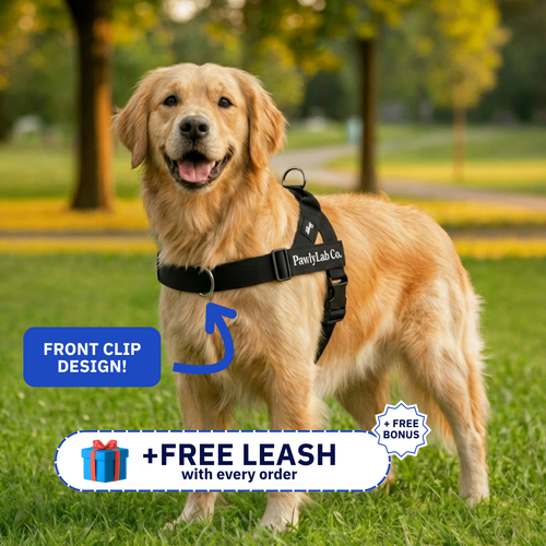 No-Pull Dog Harness