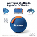 Ruckus Herding Ball